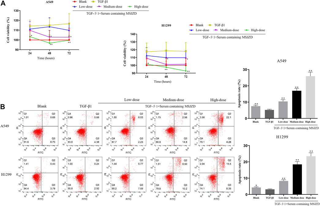 Frontiers | Modified Sijunzi Decoction Inhibits Epithelial 