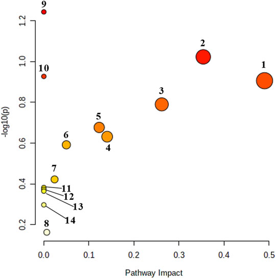 Frontiers | Metabolomics Analysis Coupled With UPLC/MS On Therapeutic ...