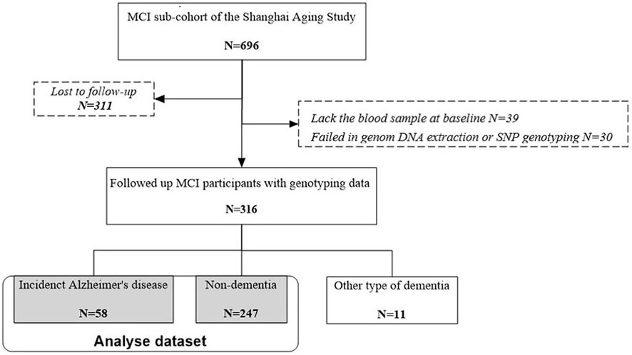 Frontiers | The Relationship Between Low-Density Lipoprotein ...