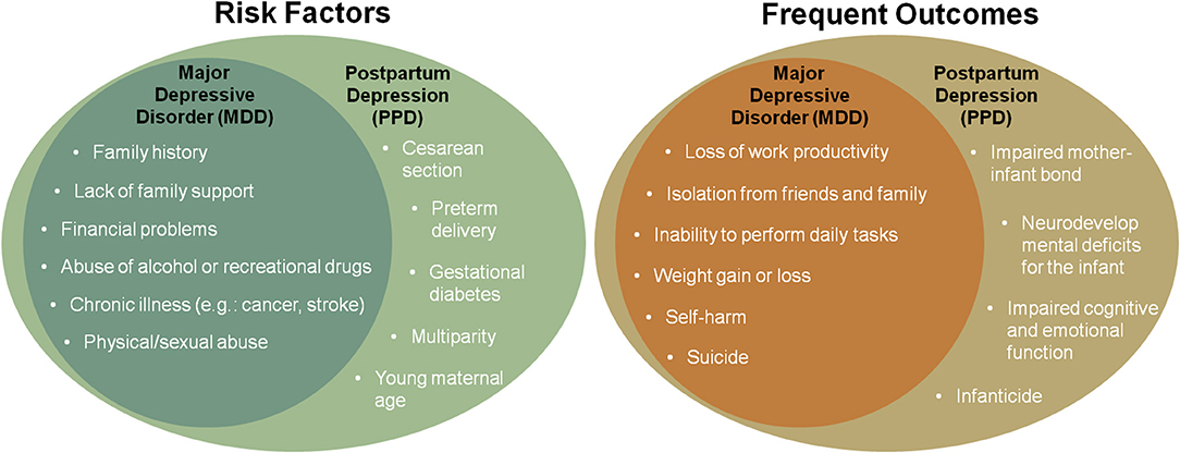 Frontiers  Post-partum depression: From clinical understanding to  preclinical assessments