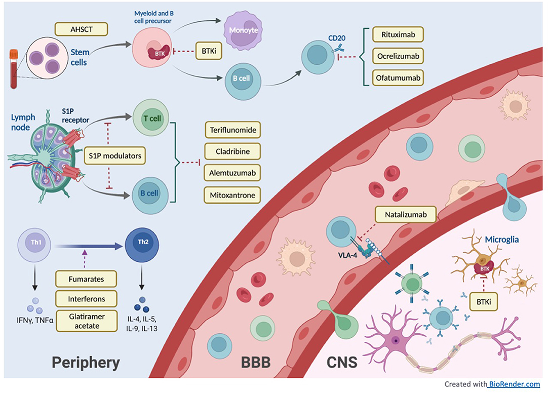 Copaxone Mechanism Of Action