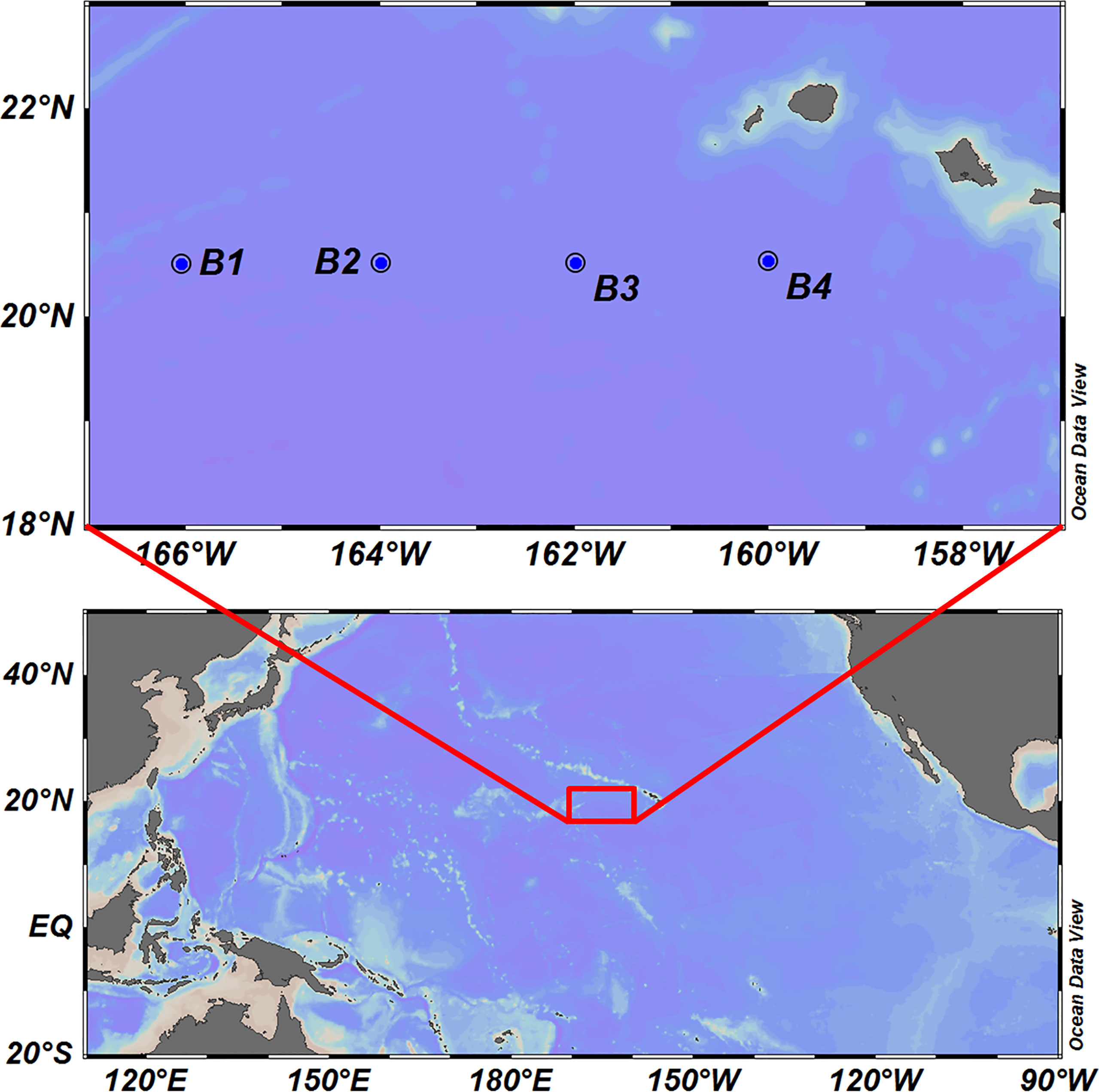 Frontiers | Species Identification of Larval Fish in Hawaiian