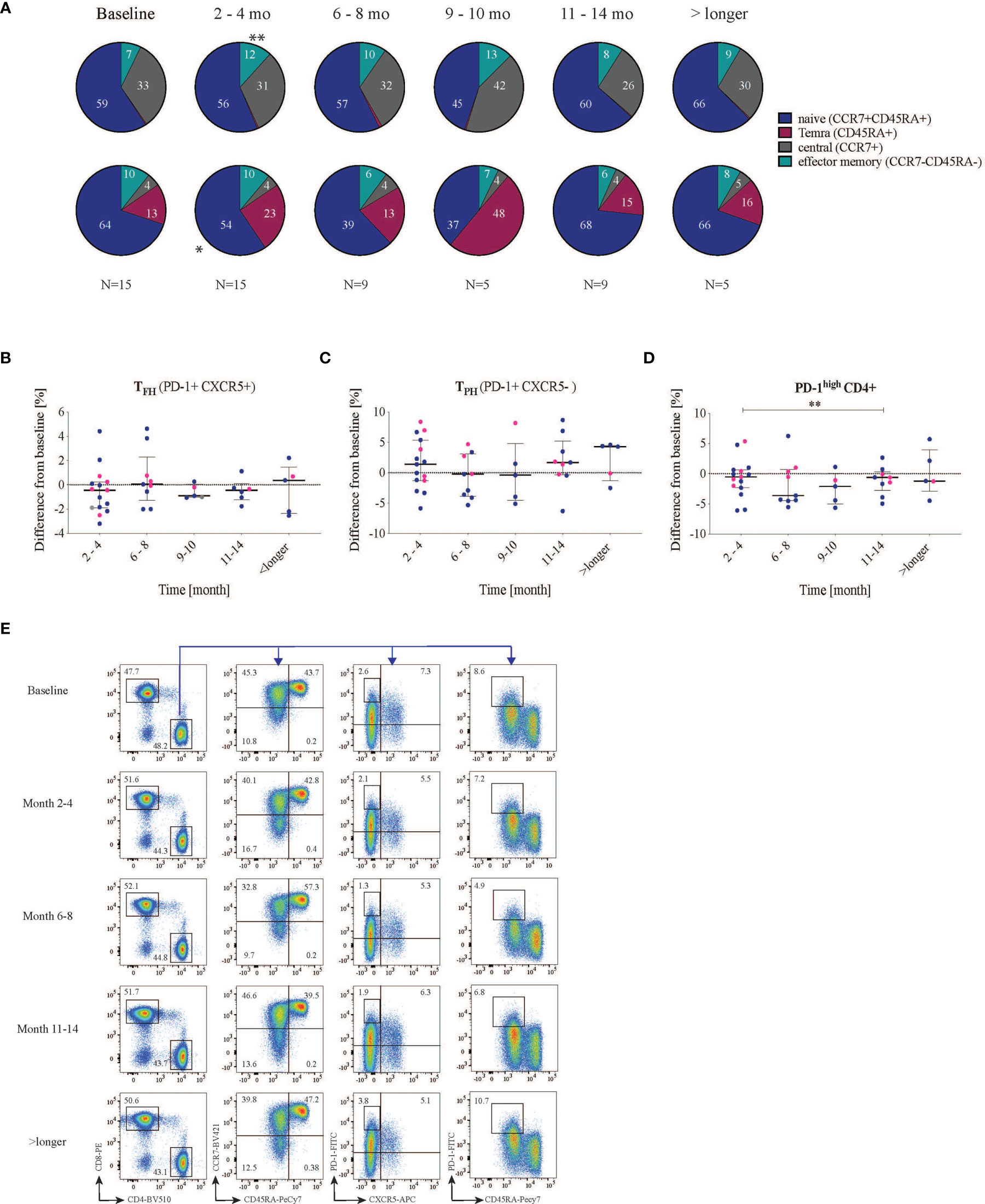 Frontiers | Rituximab in Systemic Lupus Erythematosus: Transient ...