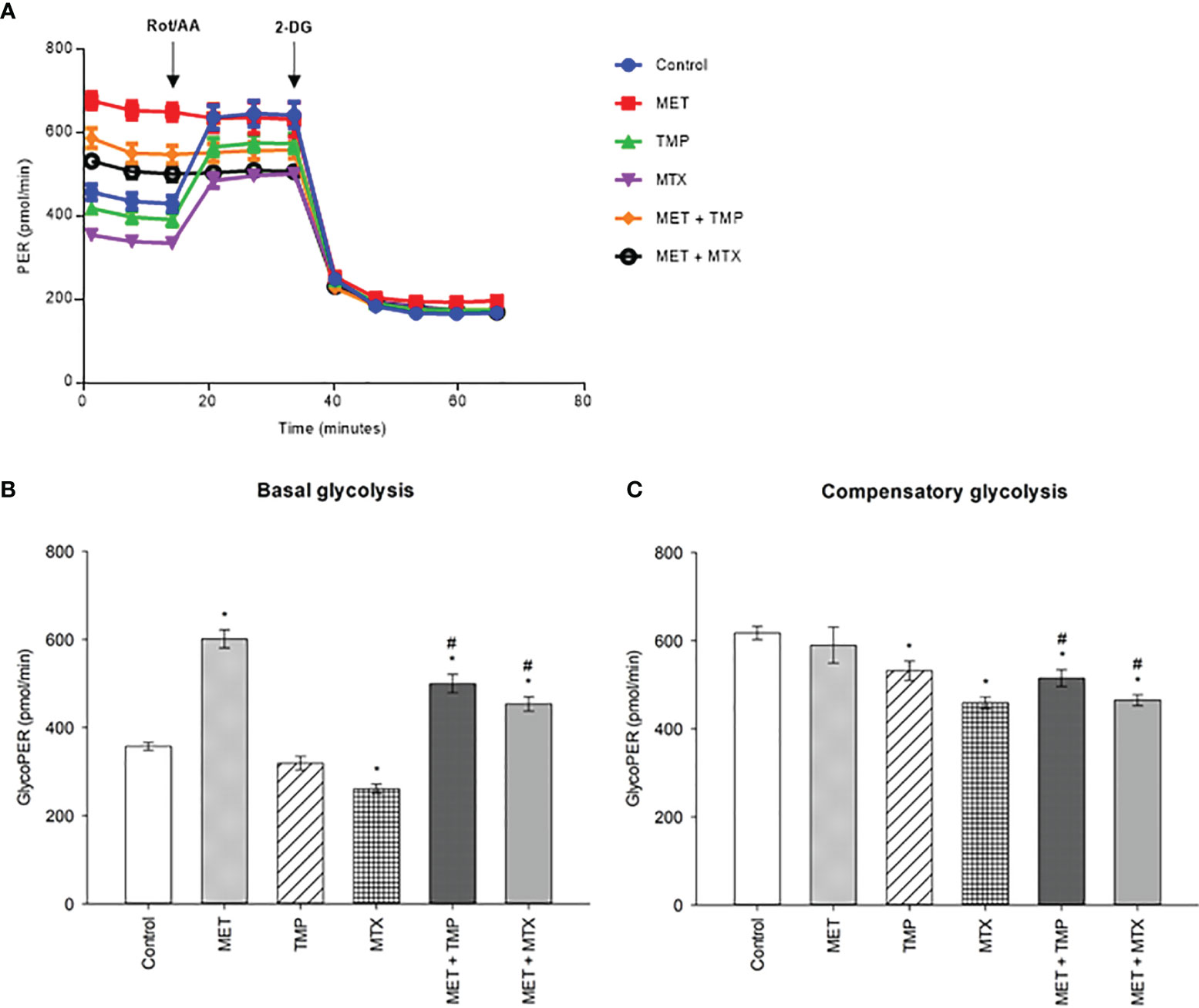 Frontiers Effects Of Metformin Combined With Antifolates On HepG2   Fonc 12 828988 G006 