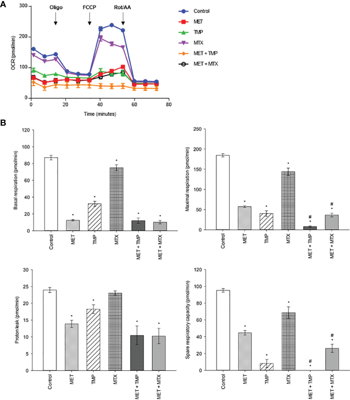 Frontiers Effects Of Metformin Combined With Antifolates On HepG2   Fonc 12 828988 G010 