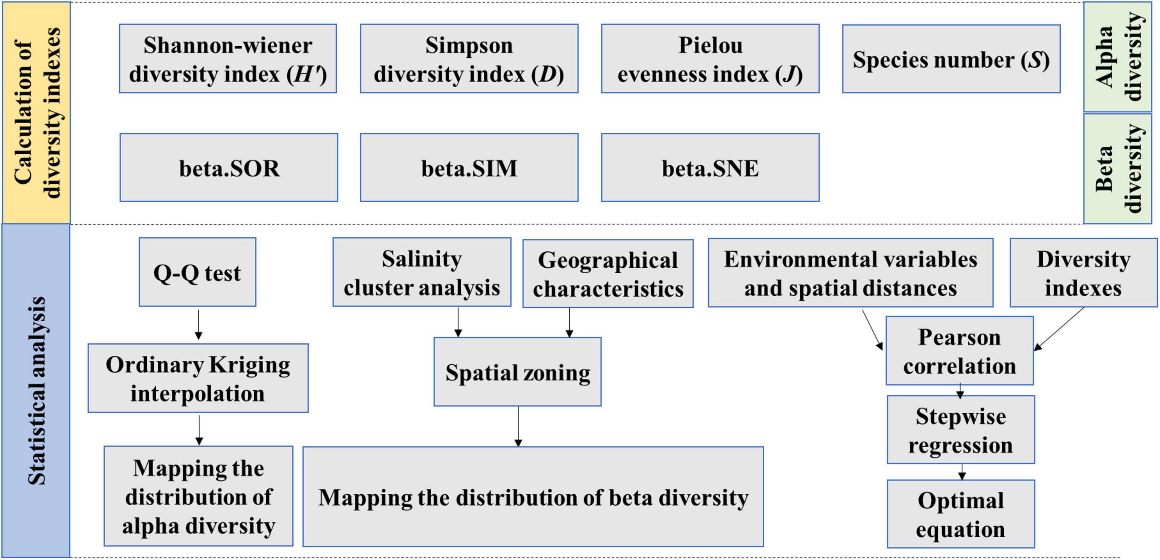 Alpha-diversity indexes, beta-diversity and longitudinal