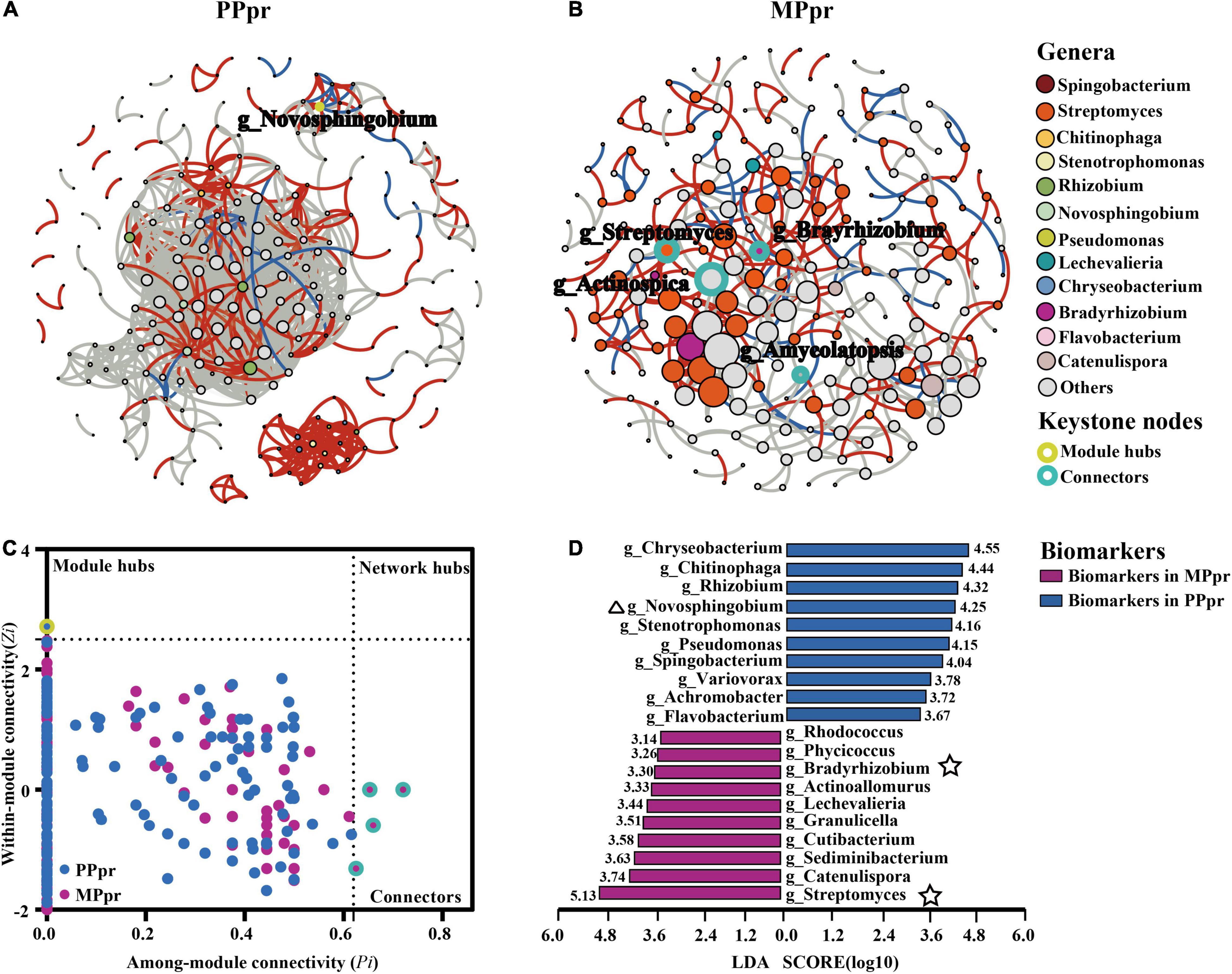 Frontiers Interspecific Neighbor Stimulates Peanut Growth