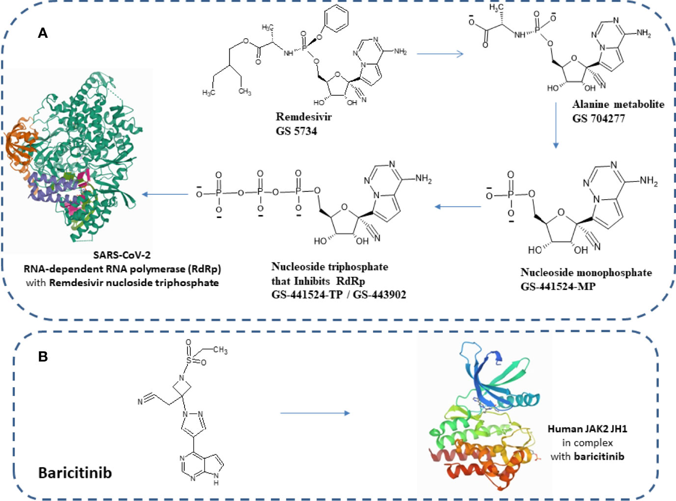 Frontiers | Remdesivir And Its Combination With Repurposed Drugs As ...