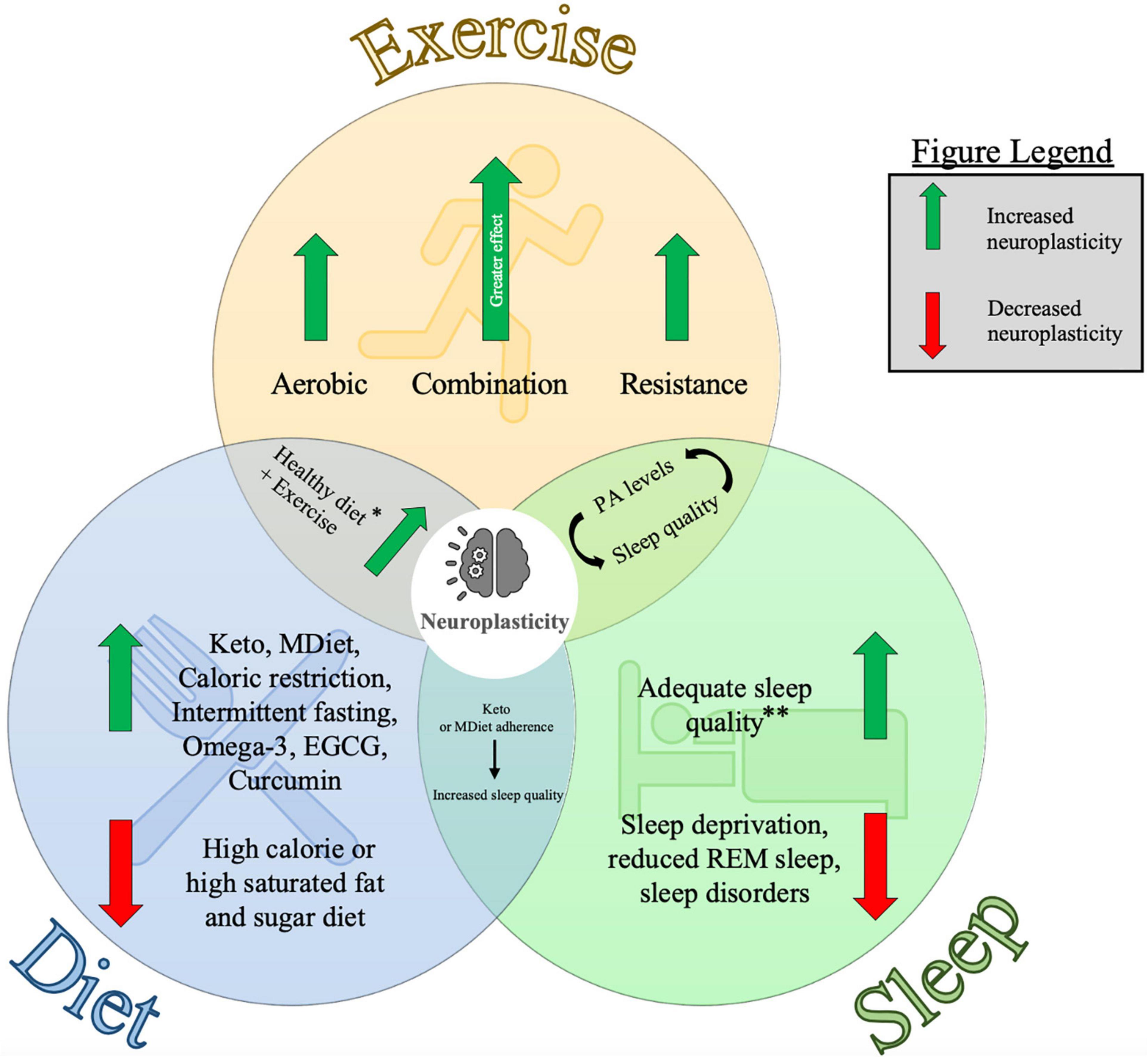 Frontiers The Combined Influences Of Exercise Diet And Sleep On 