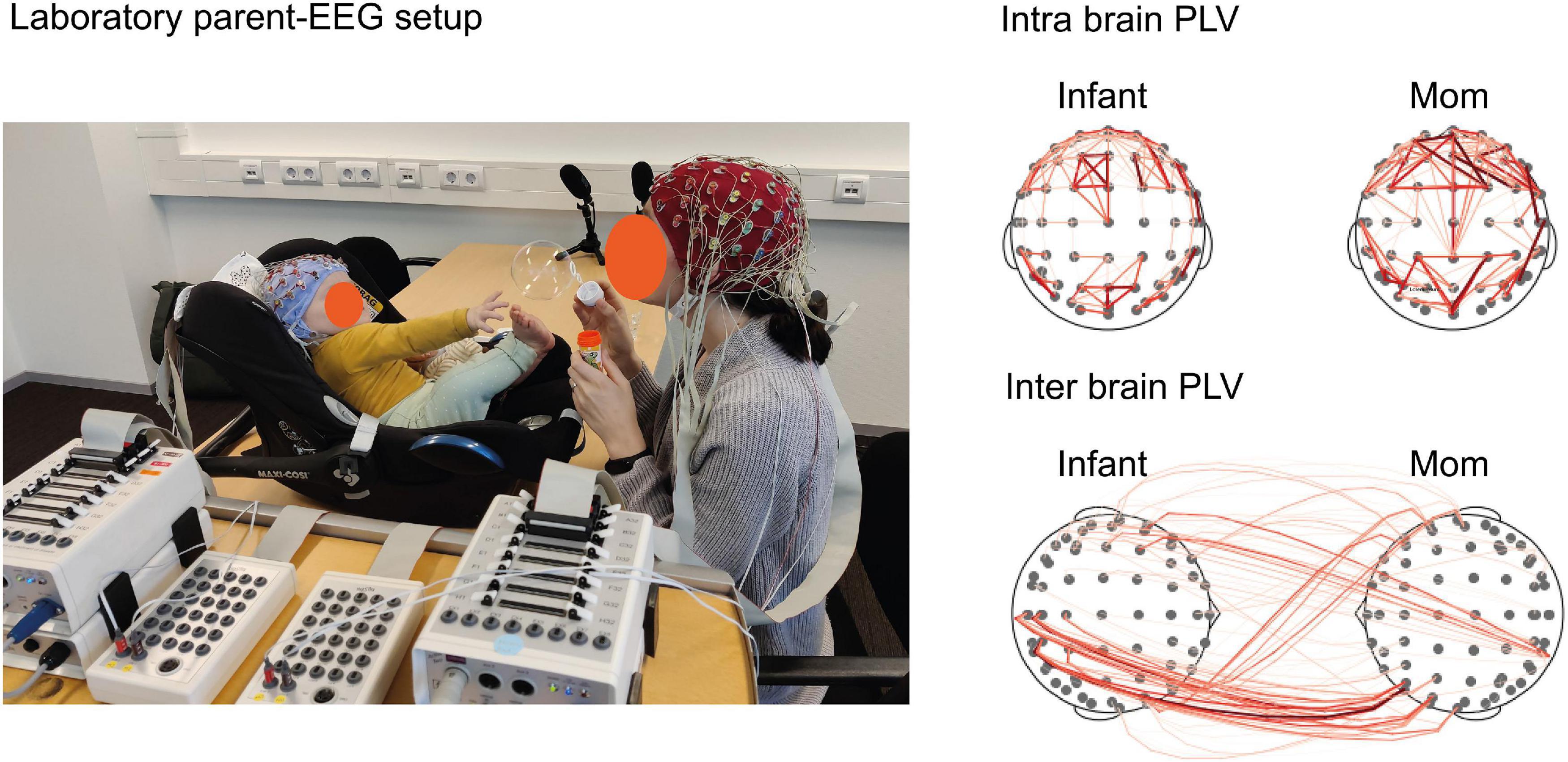 3500px x 1701px - Frontiers | Brains in Sync: Practical Guideline for Parentâ€“Infant EEG  During Natural Interaction