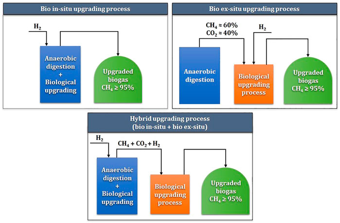 Progress in high performance membrane materials and processes for biogas  production, upgrading and conversion - ScienceDirect