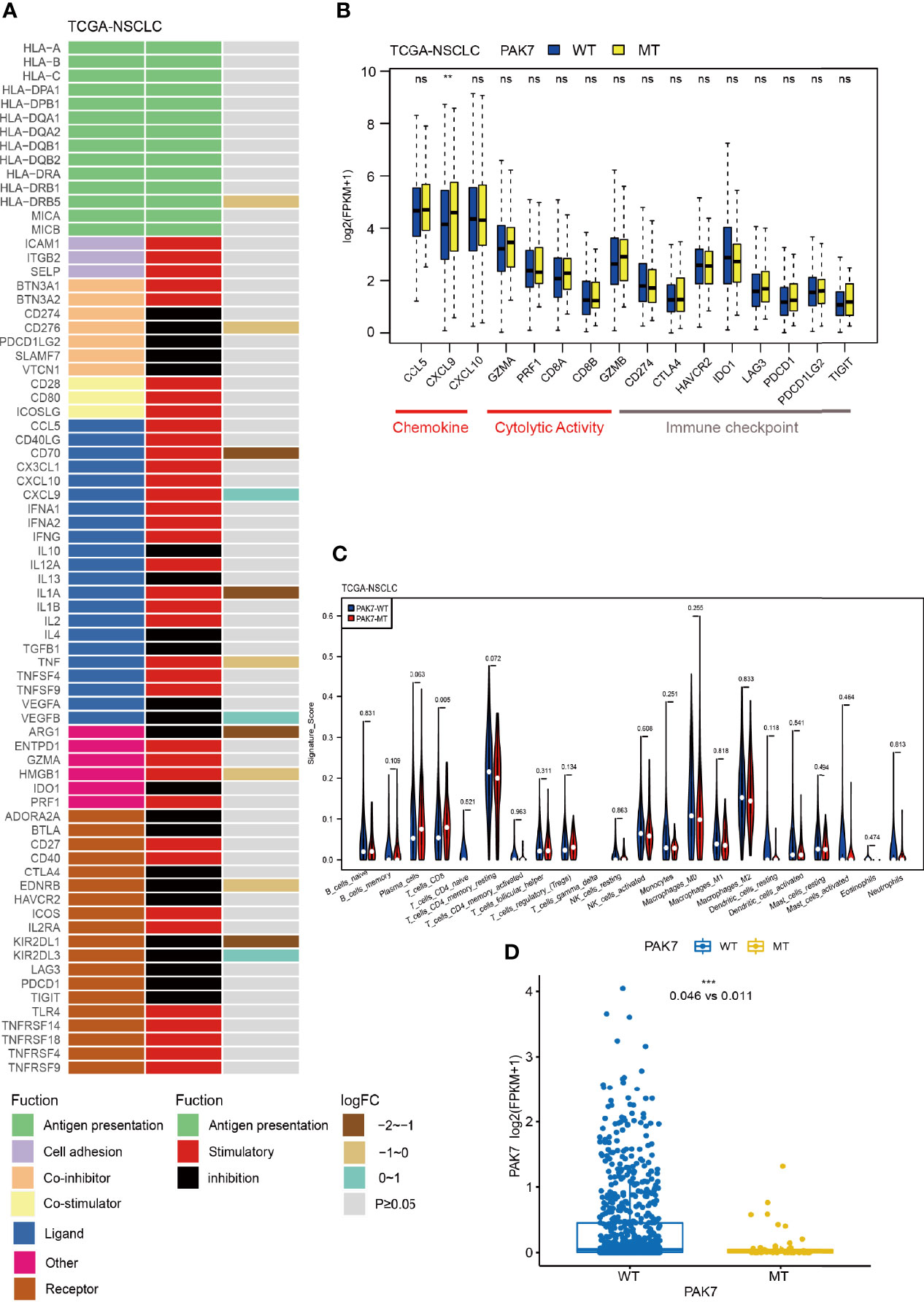 Frontiers | The Predictive Value of PAK7 Mutation for Immune Checkpoint ...