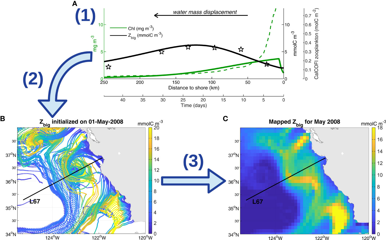 Pelagic Biodiversity, Ecosystem Function, and Services: An Integrated  Observing and Modeling Approach