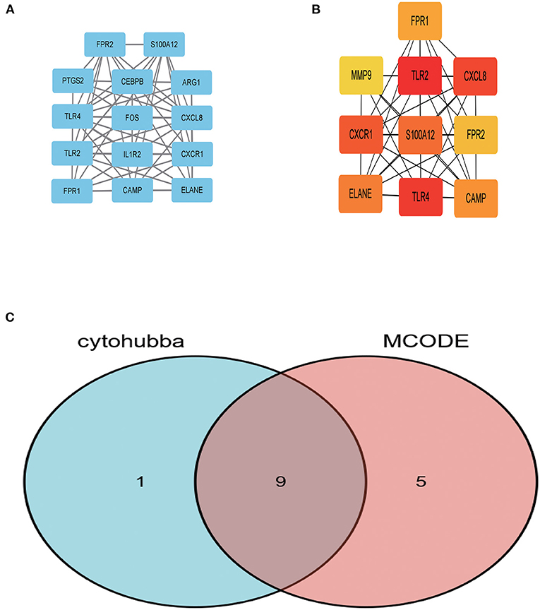 Frontiers | Predicting Diagnostic Gene Biomarkers Associated With 