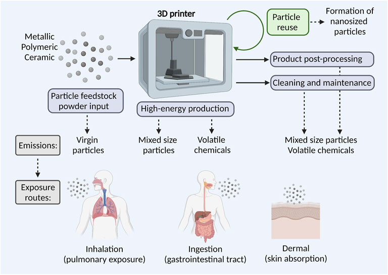 3D Printing-Induced Fine Particle and Volatile Organic Compound Emission:  An Emerging Health Risk