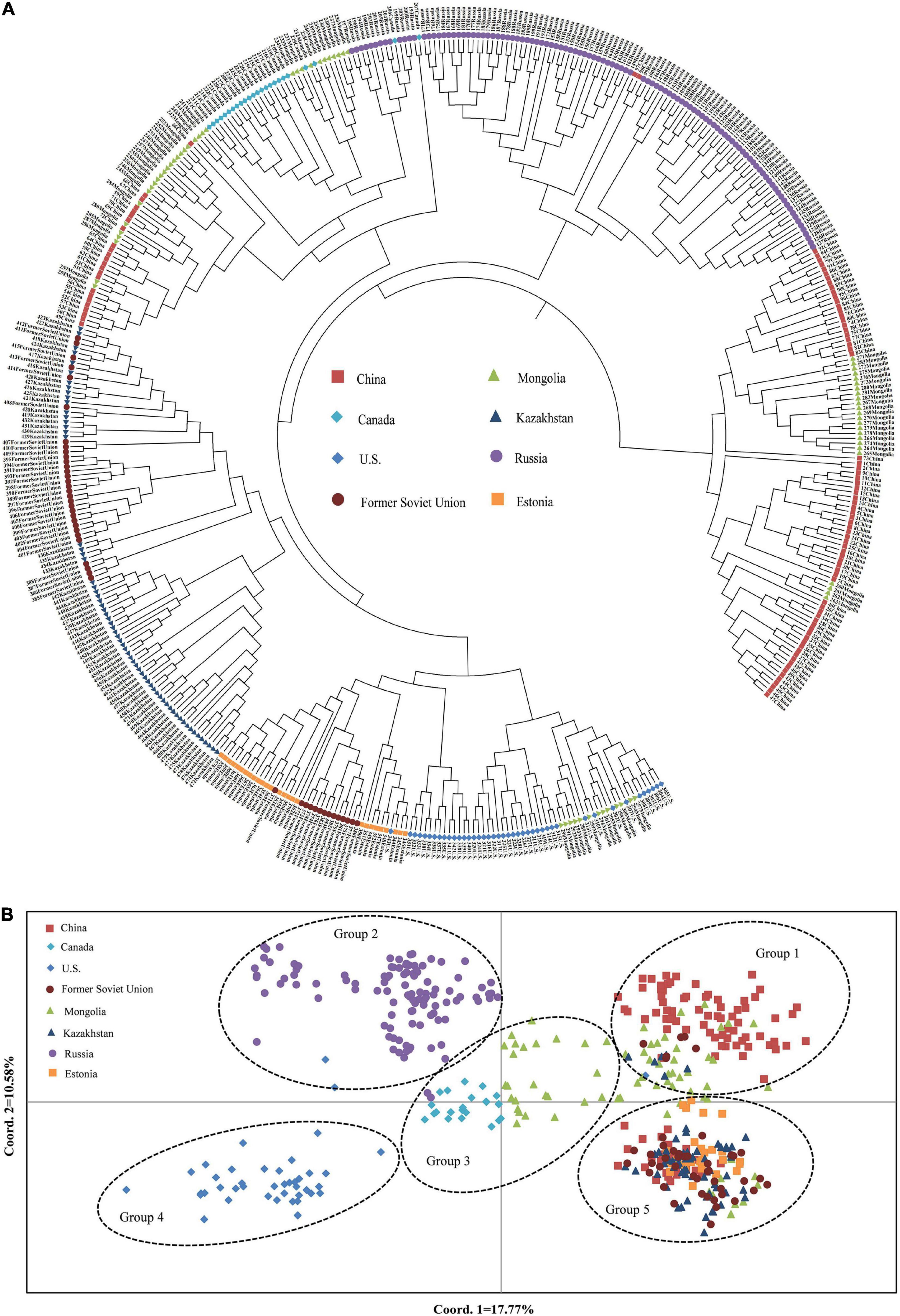 Frontiers | EST-SSR Primer Development and Genetic Structure 