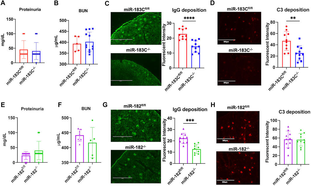 Frontiers | Deletion Of MicroRNA-183-96-182 Cluster In Lymphocytes ...