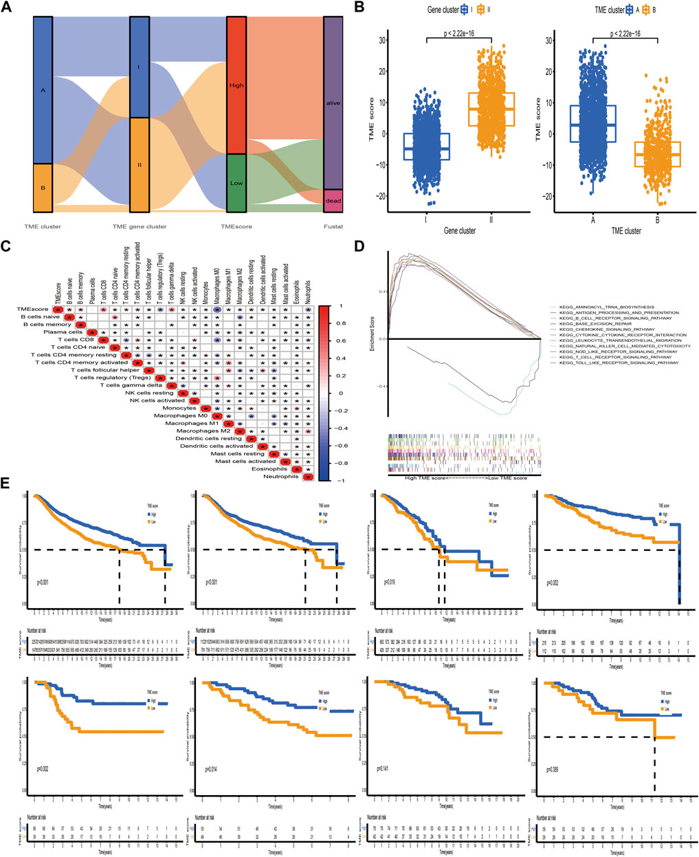 Frontiers | Tumor Microenvironment-Mediated Immune Profiles ...