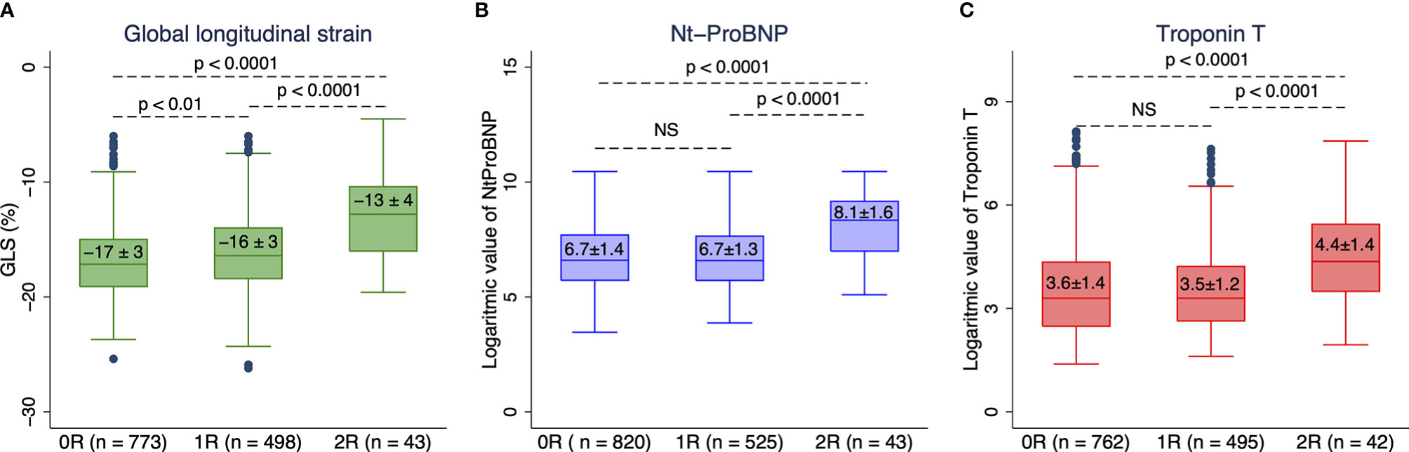 Global longitudinal strain assessment in contrast-enhanced