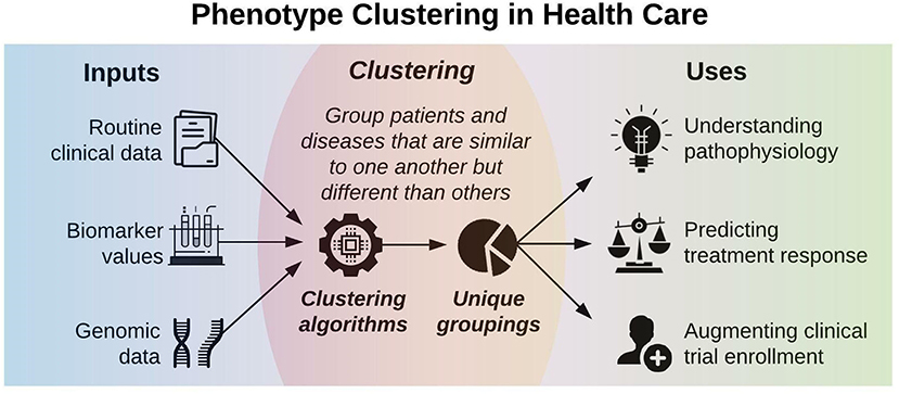 Frontiers  Phenotype clustering in health care: A narrative review for  clinicians