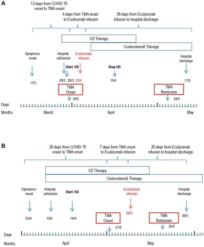 Frontiers  Case report: Short-term eculizumab use in atypical HUS