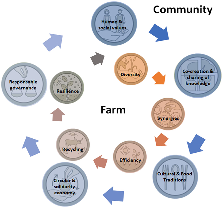Diversifying JAFC  Journal of Agricultural and Food Chemistry