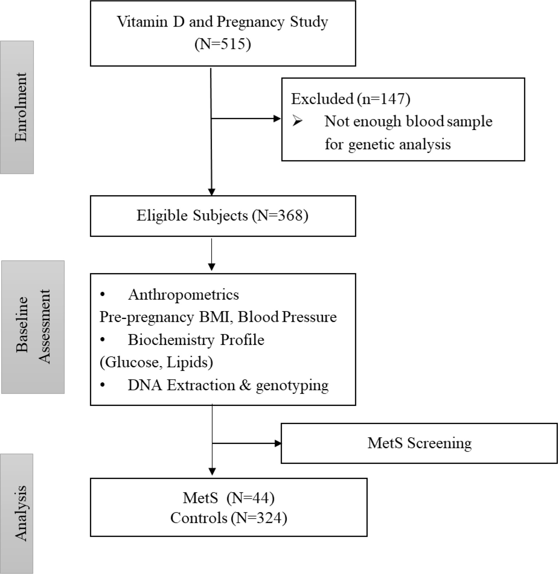 Frontiers | The Association Between FokI Vitamin D Receptor ...