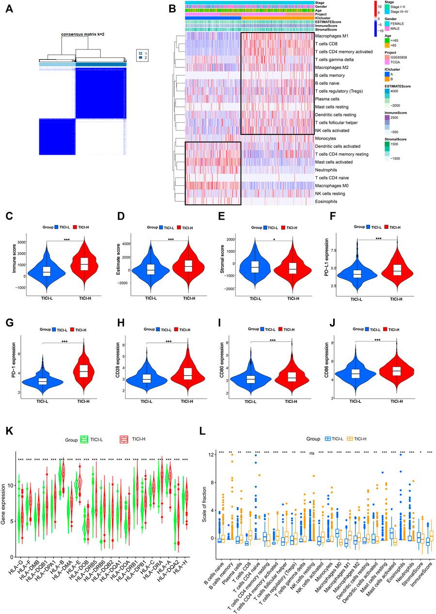 Frontiers | Immune Infiltration Characteristics And A Gene Prognostic ...