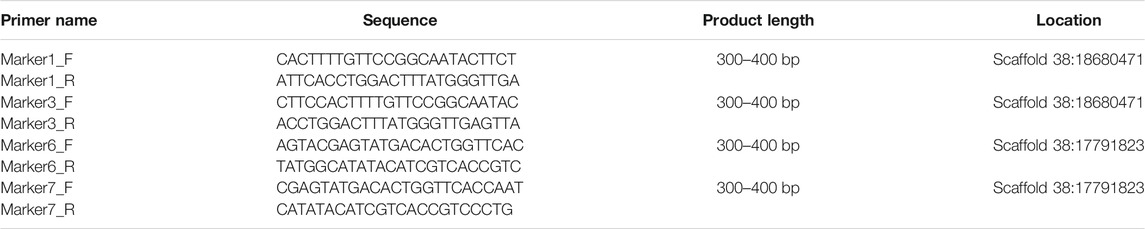 Frontiers Exploration Of An Xxxy Sex Determination System And Development Of Pcr Based Sex 5025