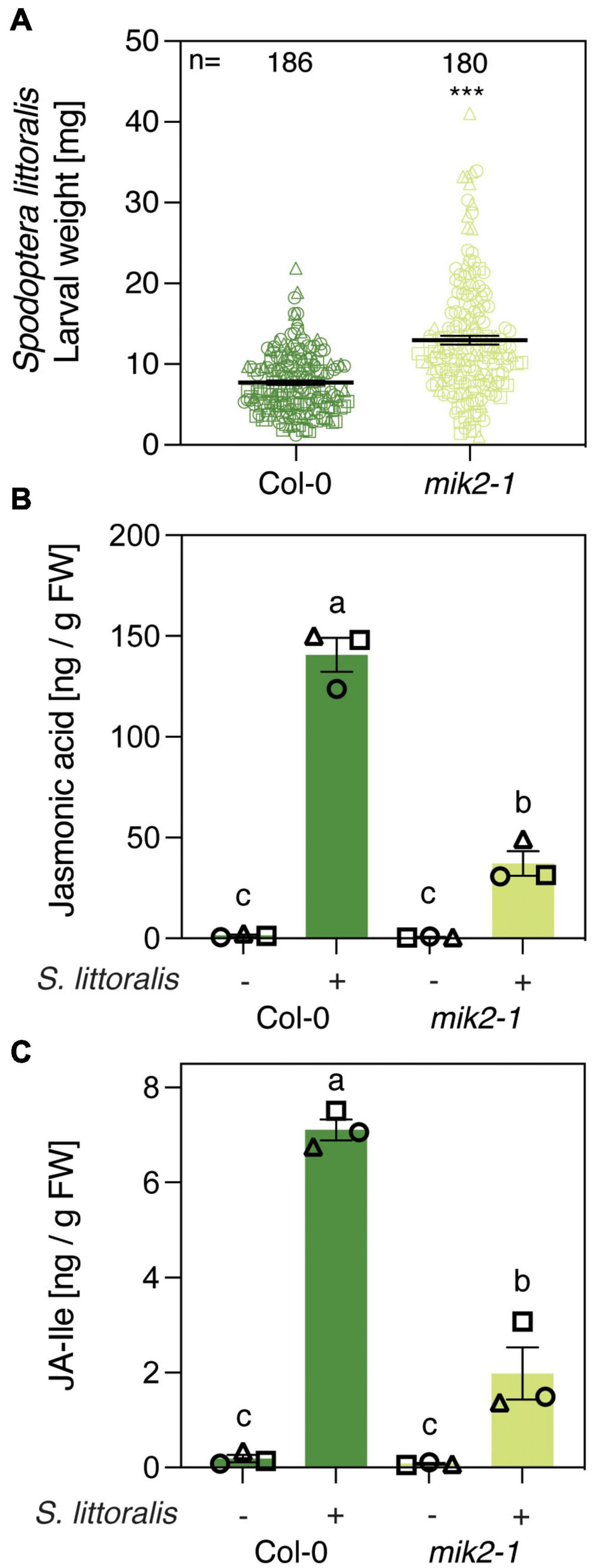 Frontiers The MIK2 SCOOP Signaling System Contributes to