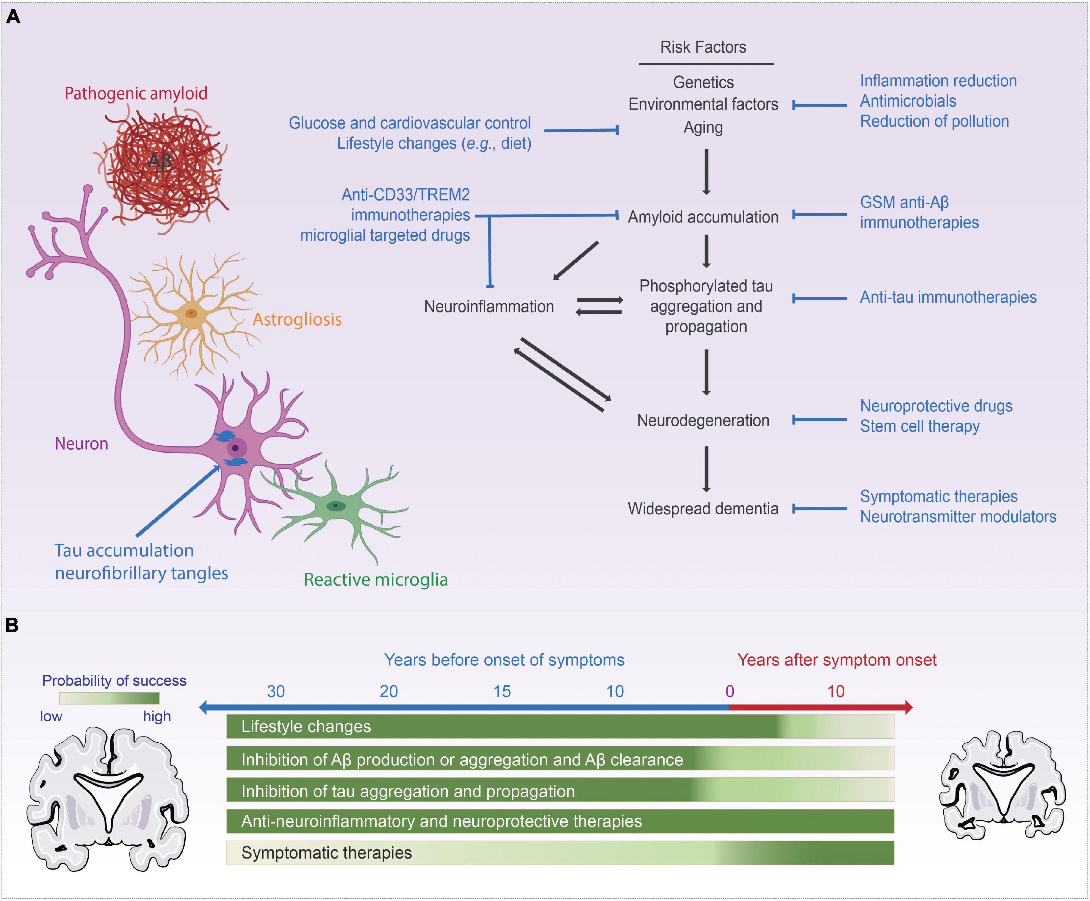 Frontiers  Neurotechnological Approaches to the Diagnosis and Treatment of Alzheimer’s Disease