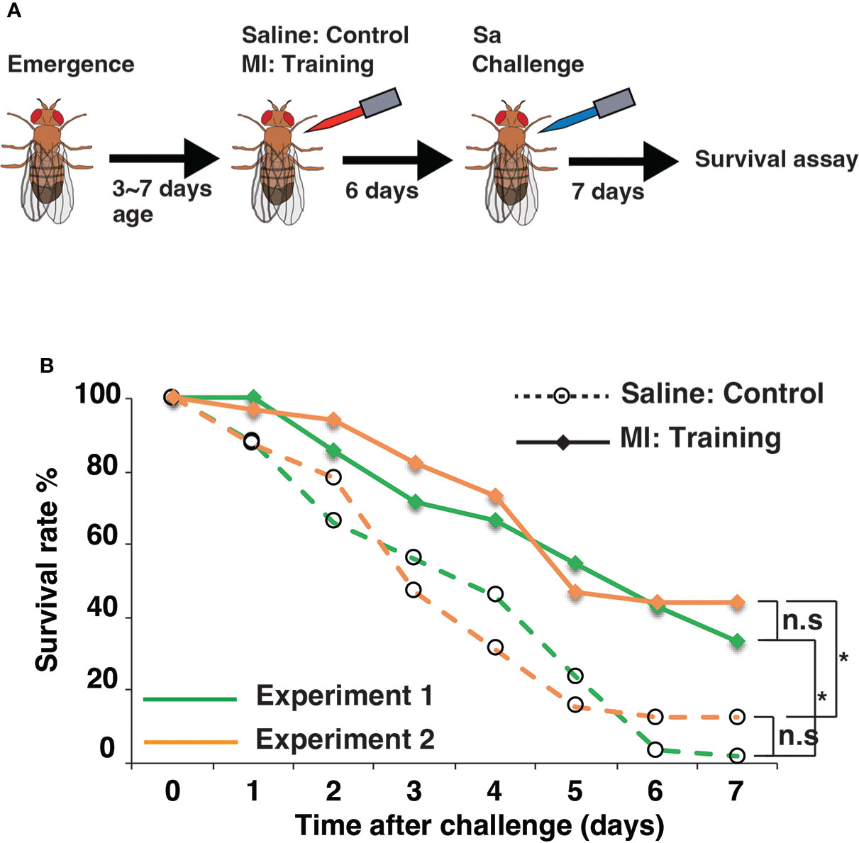 Frontiers Genetic Dissection Of Innate Immune Memory In Drosophila Melanogaster