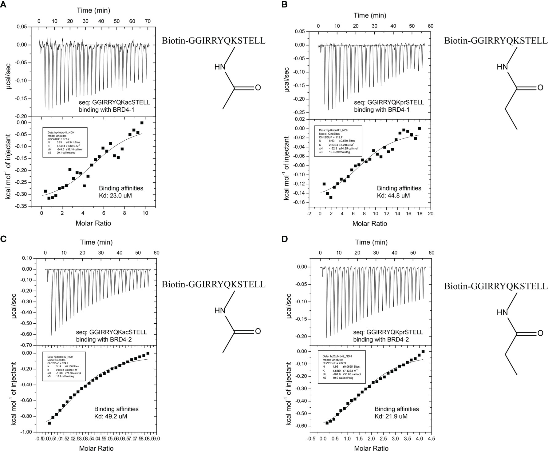 Frontiers | FGFR2–BRD4 Axis Regulates Transcriptional Networks of