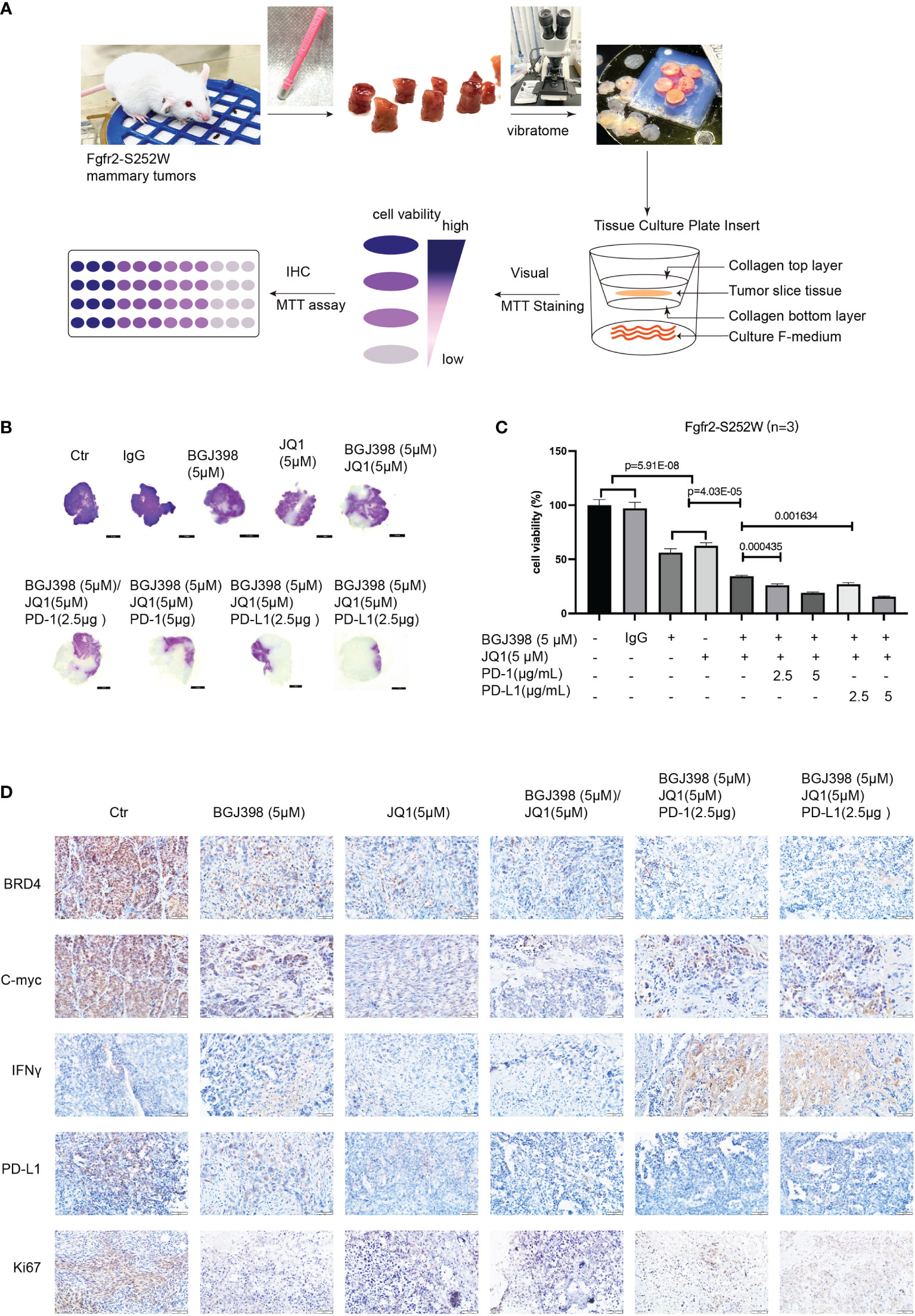 Frontiers | FGFR2–BRD4 Axis Regulates Transcriptional Networks of