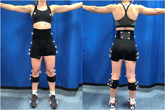 Frontiers  Greater Breast Support Alters Trunk and Knee Joint Biomechanics  Commonly Associated With Anterior Cruciate Ligament Injury