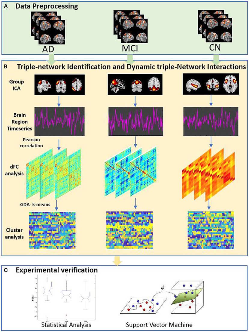 Frontiers | A Triple-Network Dynamic Connection Study in 