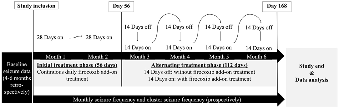| Cyclooxygenase-2 Inhibition as an Add-On in Drug Resistant Epilepsy—A Canine Translational Study