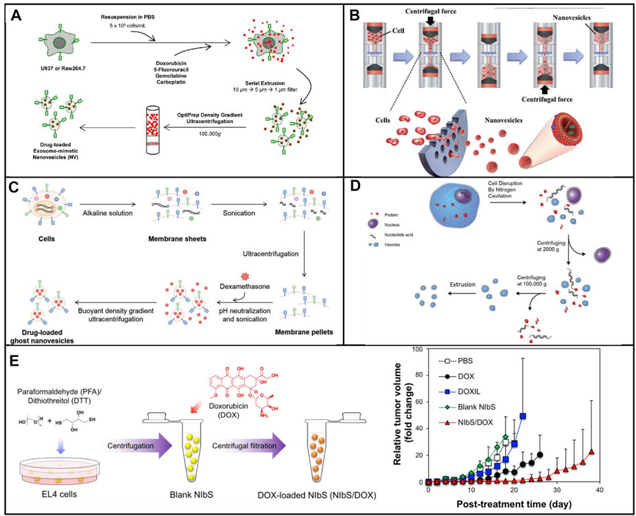 Frontiers Biomimetic Exosomes A New Generation Of Drug Delivery System