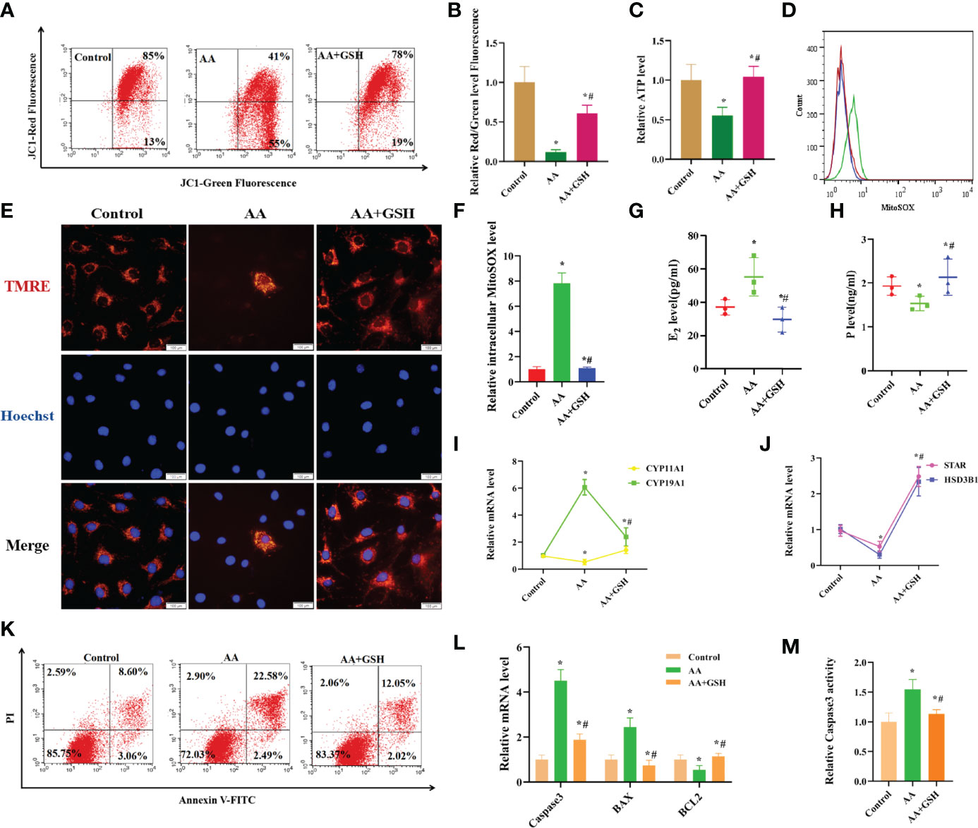 Frontiers | Arachidonic Acid in Follicular Fluid of PCOS Induces ...