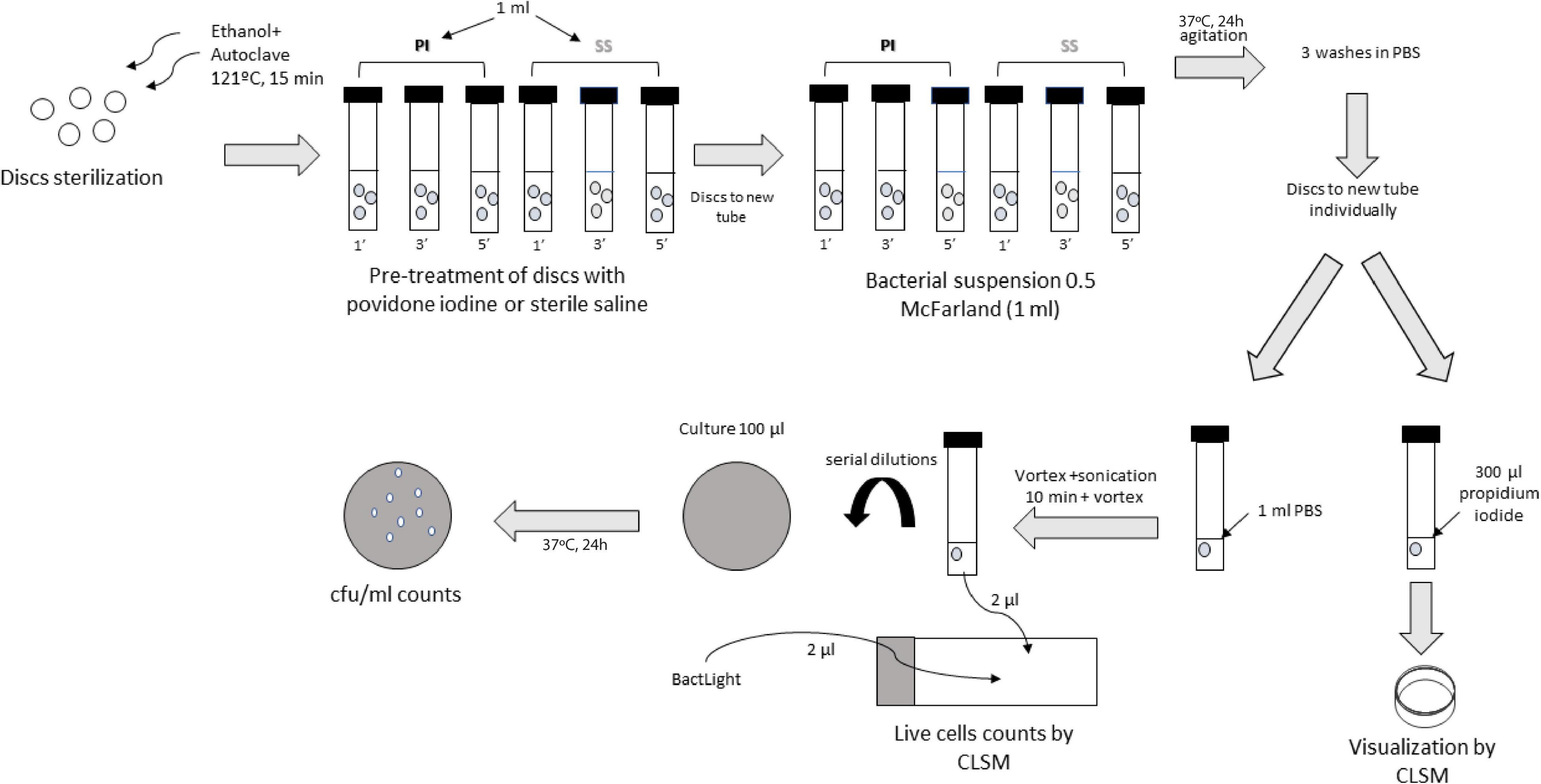 Frontiers  Efficacy of Povidone Iodine Against Microbial Biofilms in  Breast Implants With Different Textures: Results From an in vitro Study