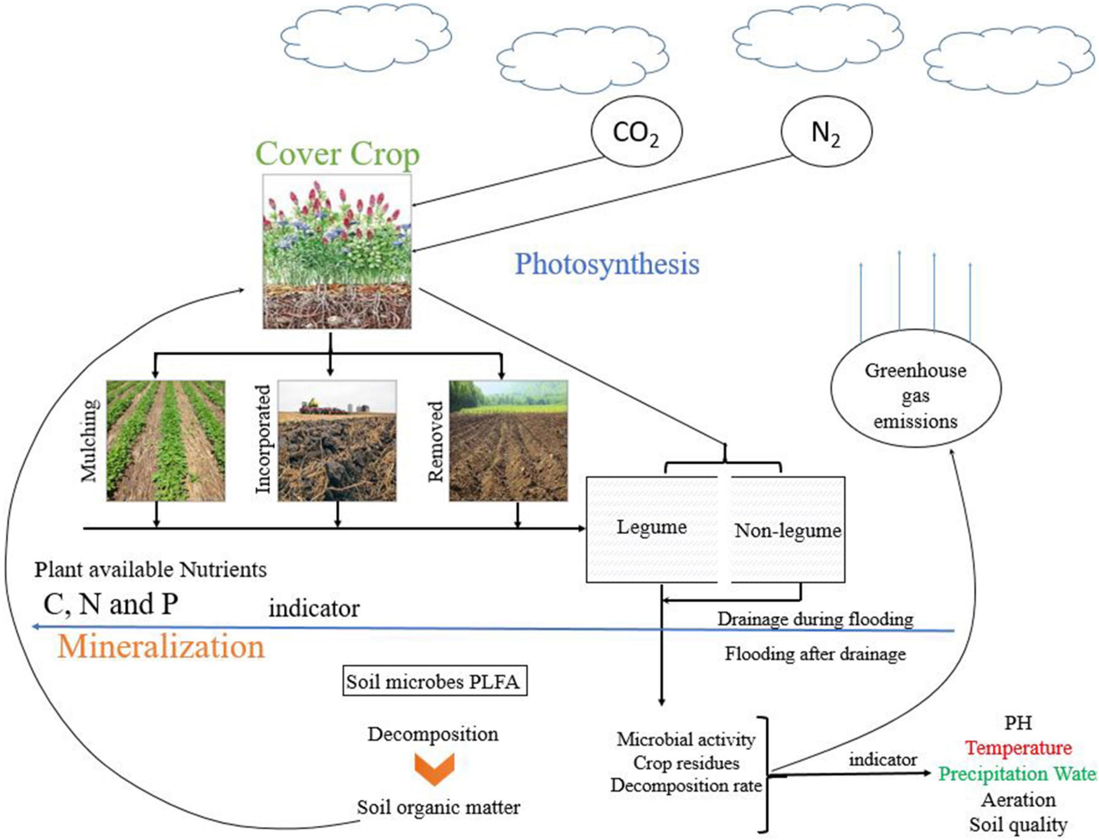 Frontiers Regulation Of Soil Microbial Community Structure And