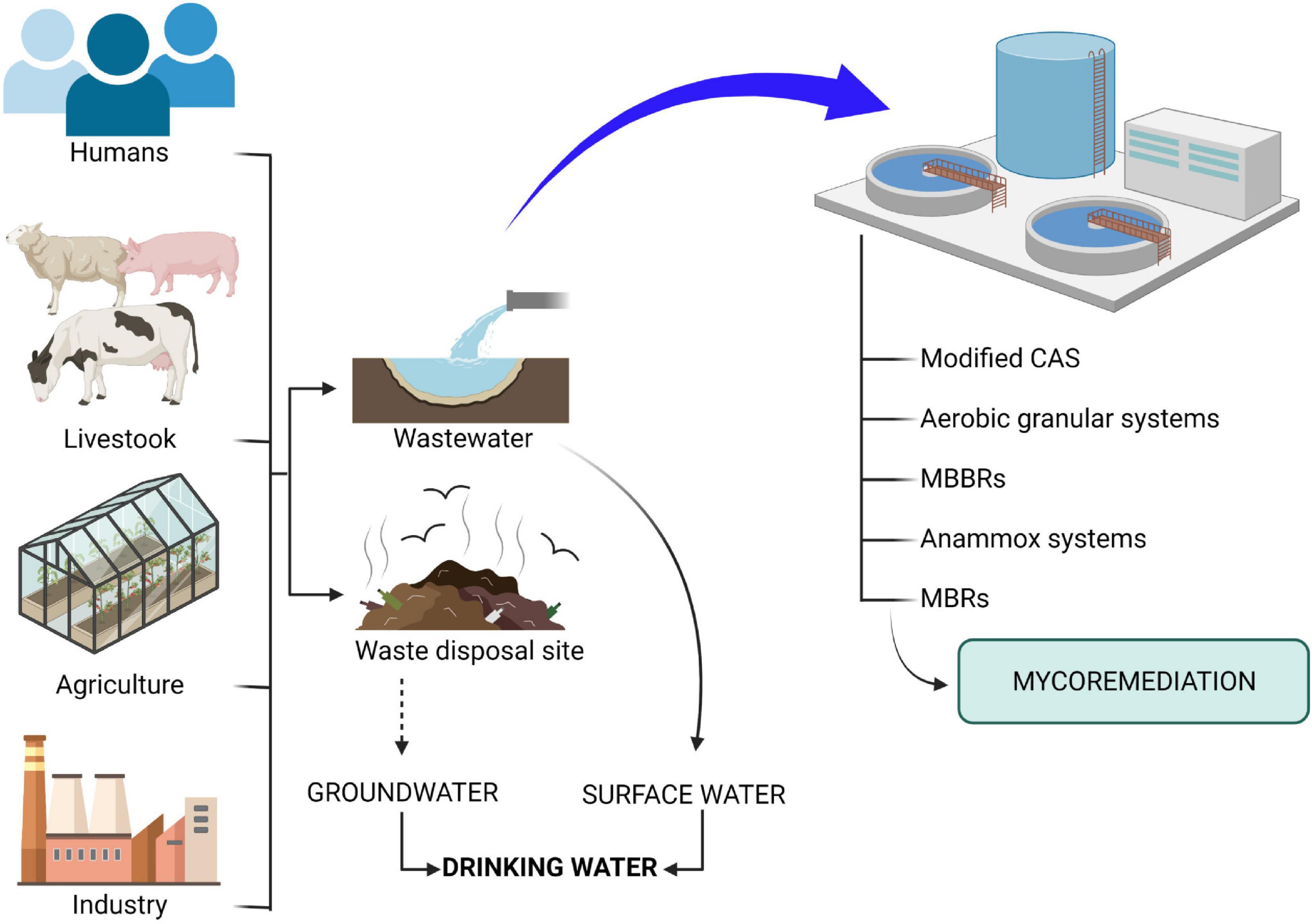 Frontiers Pharmaceutical Pollution In Aquatic Environments A Concise 