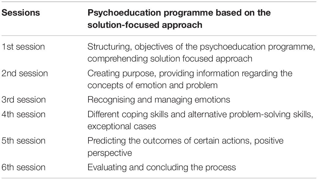 Frontiers  Effects of an Online Solution-Focused Psychoeducation