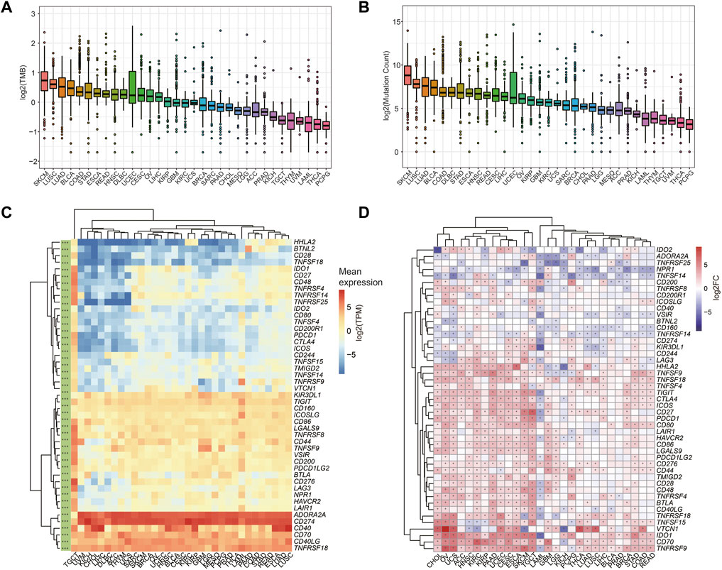 Frontiers | Identification Of Potential Biomarkers For Pan-Cancer ...