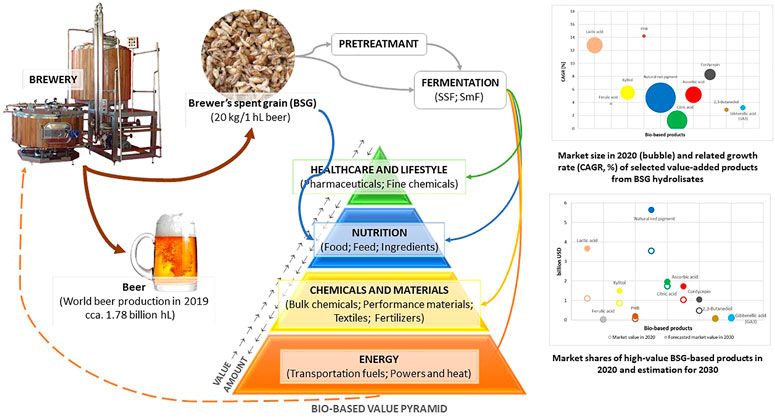 Frontiers  The Potential of Brewer's Spent Grain in the Circular  Bioeconomy: State of the Art and Future Perspectives
