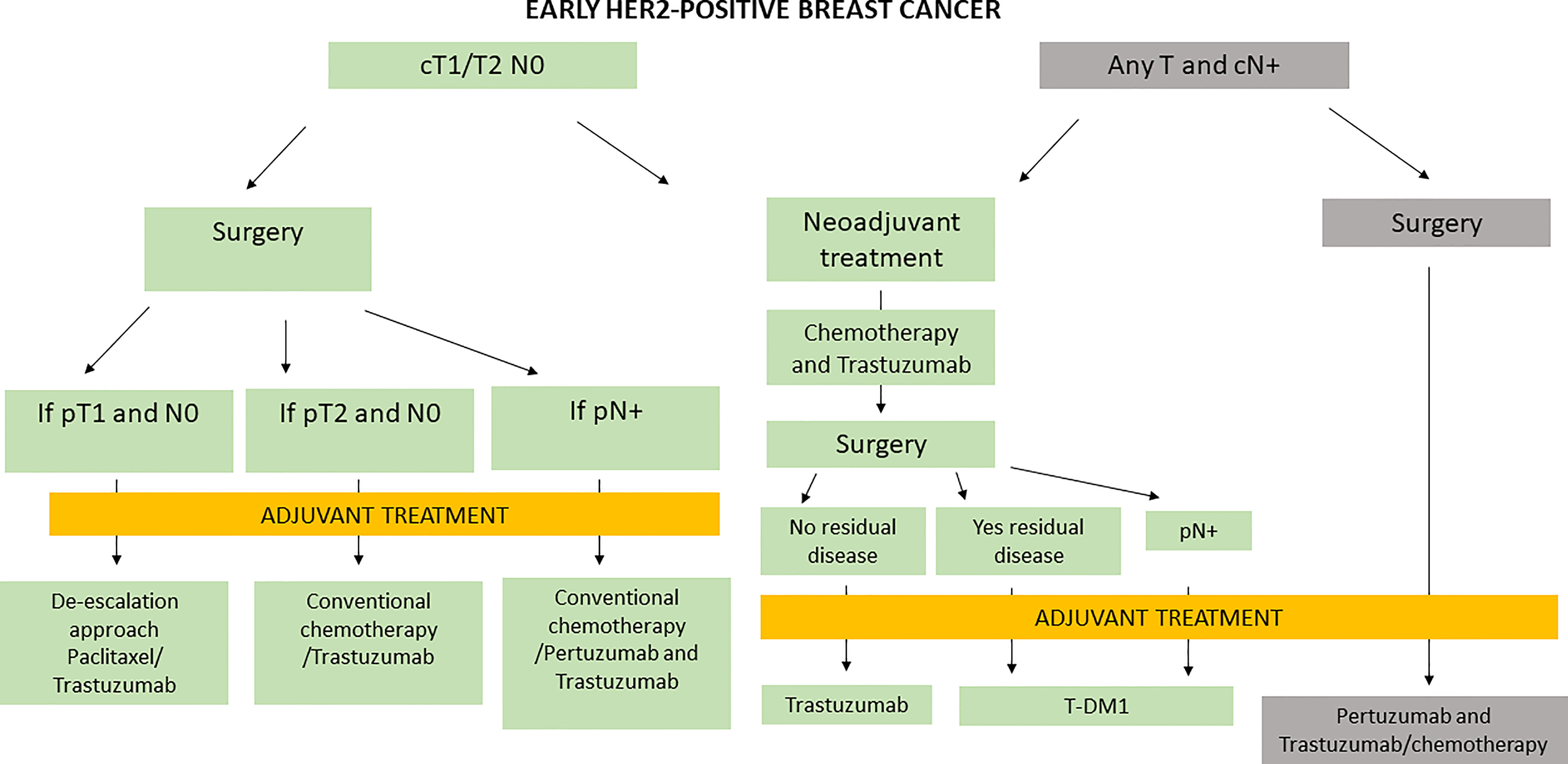 Frontiers Management Of HER2 Positive Early Breast Cancer In Italy A 