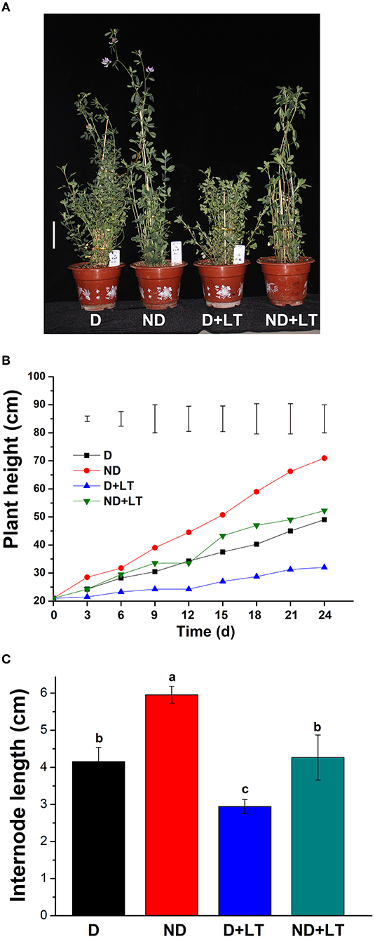 Frontiers | Identification And Characterization Of Regulatory Pathways ...