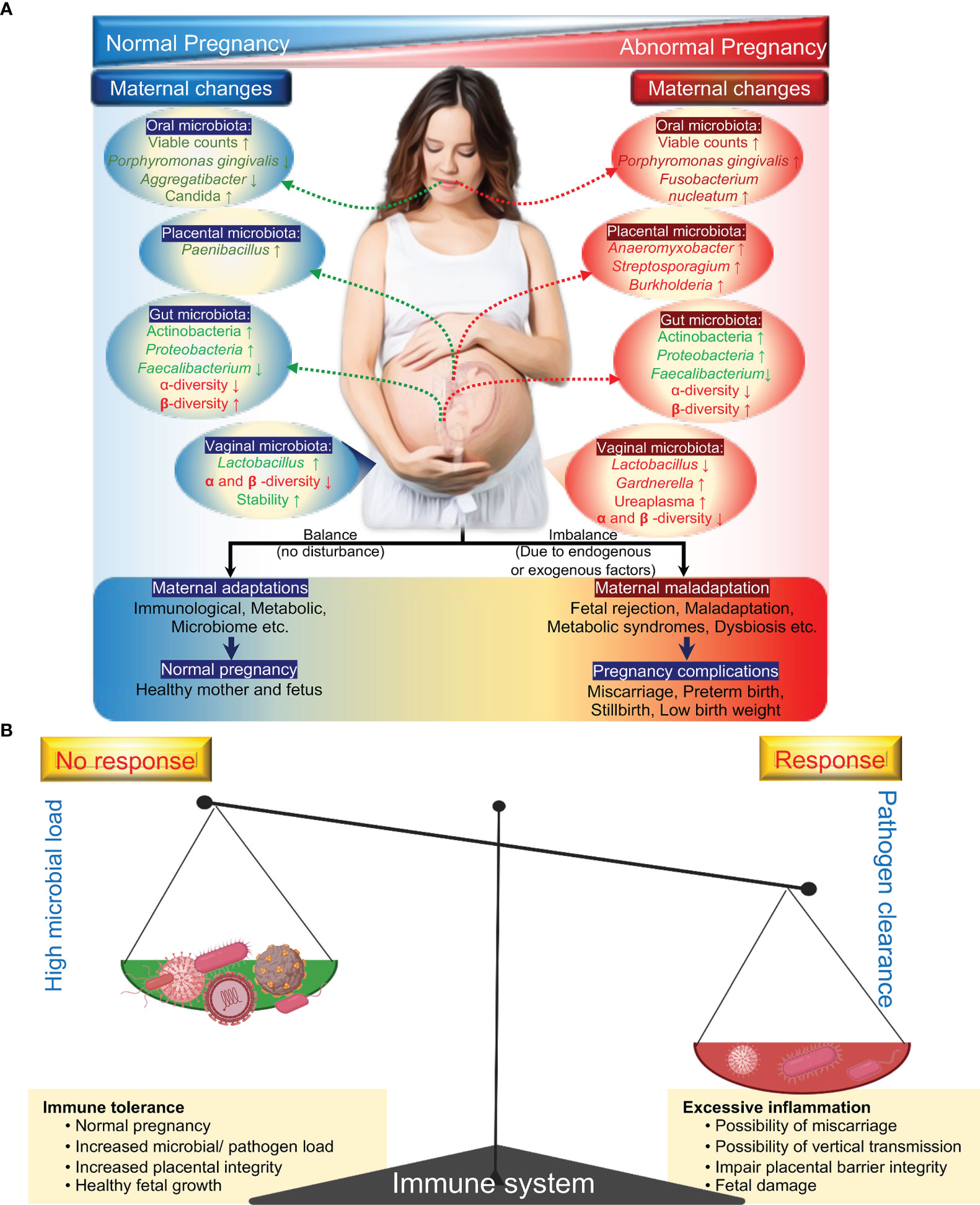 Prevalence and course of pregnancy symptoms using self-reported