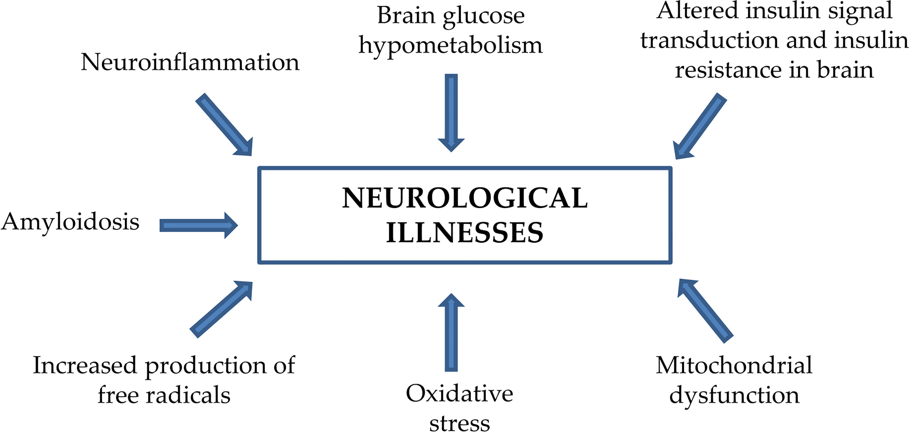 Frontiers | Significance of Brain Glucose Hypometabolism