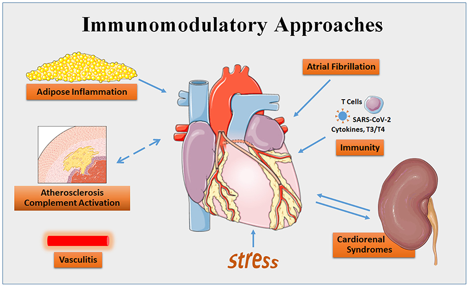 Frontiers Editorial Immunomodulatory Approaches in Cardiovascular